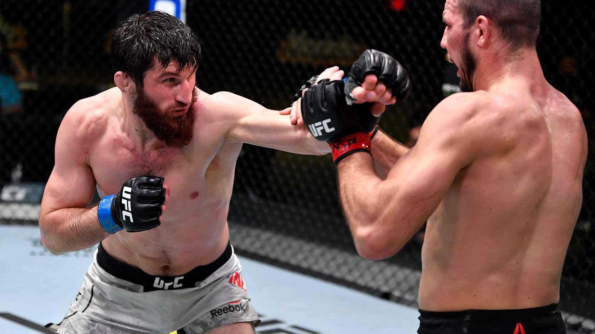 战术的灵活 战术的灵活