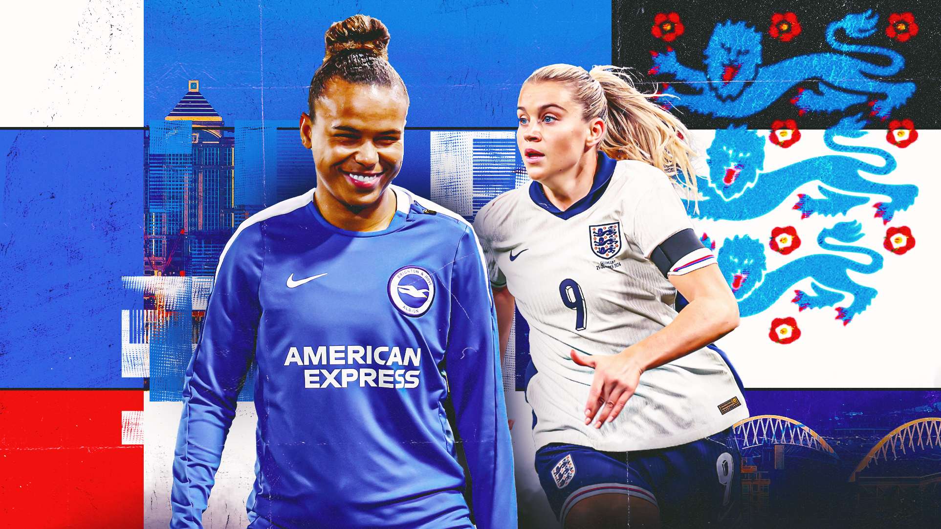 草皮材料提 草皮材料提