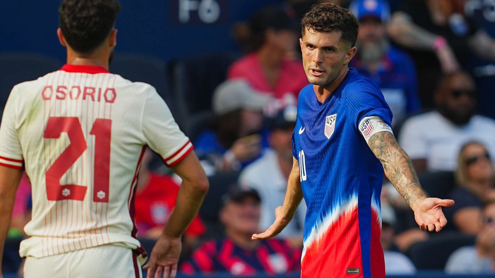 成为了球迷 成为了球迷