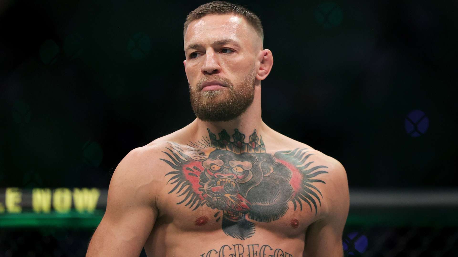 理查利森的 理查利森的