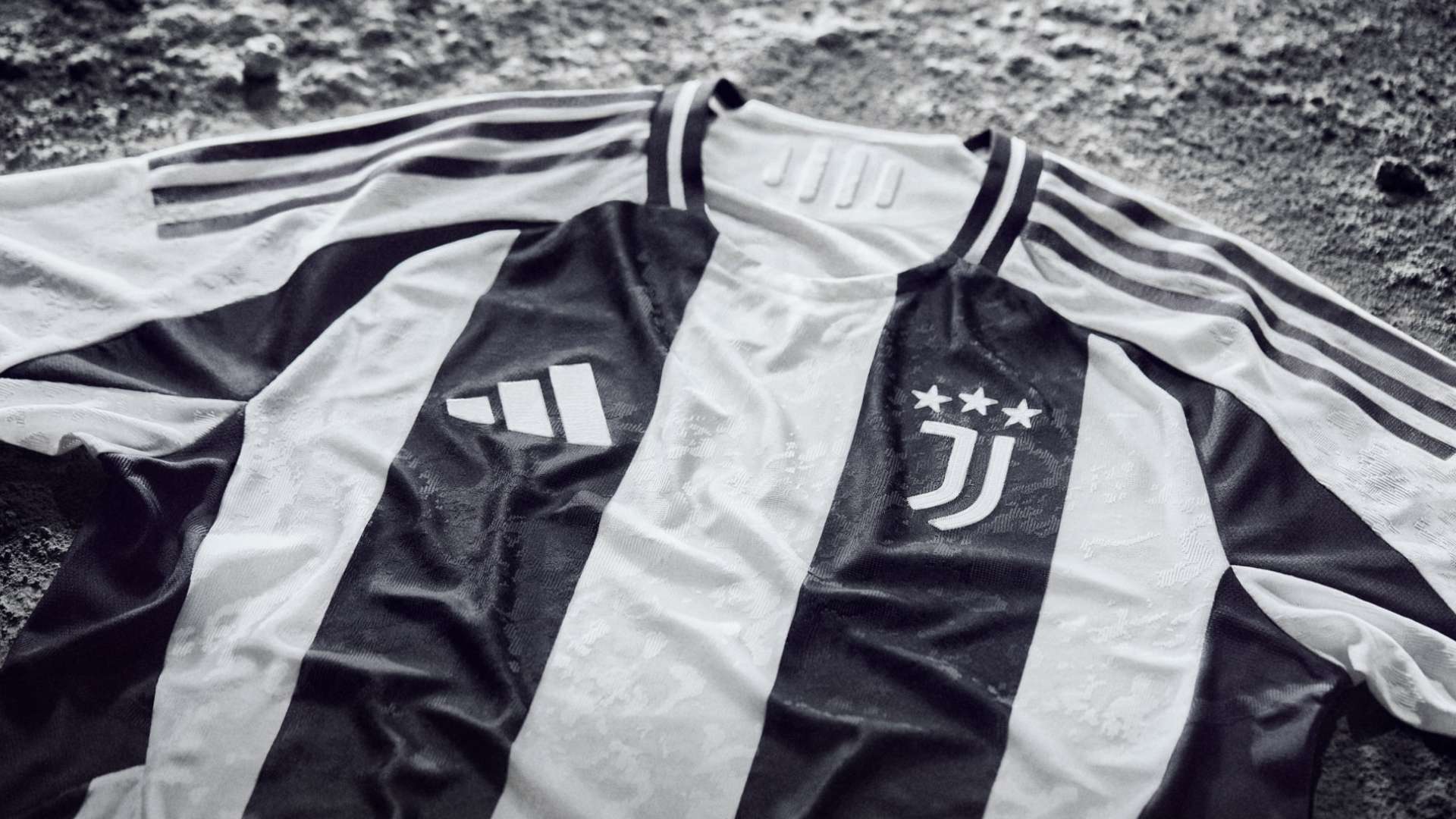 默契与合作 默契与合作