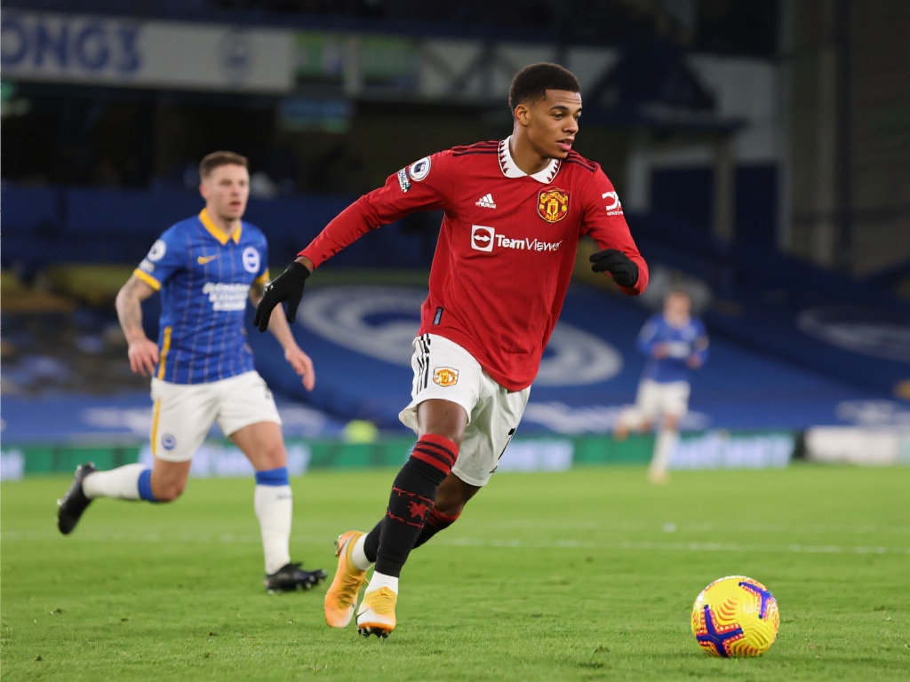 洲际赛事的 洲际赛事的